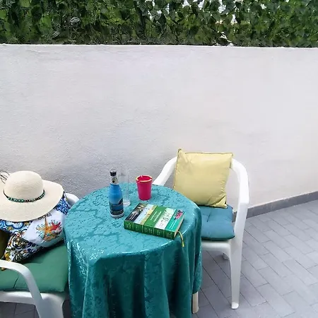 Summer Vibes